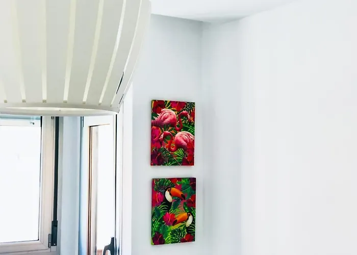 Cactus Λας Πάλμας ντε Γκραν Κανάρια