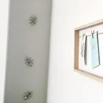 Cactus Hotel