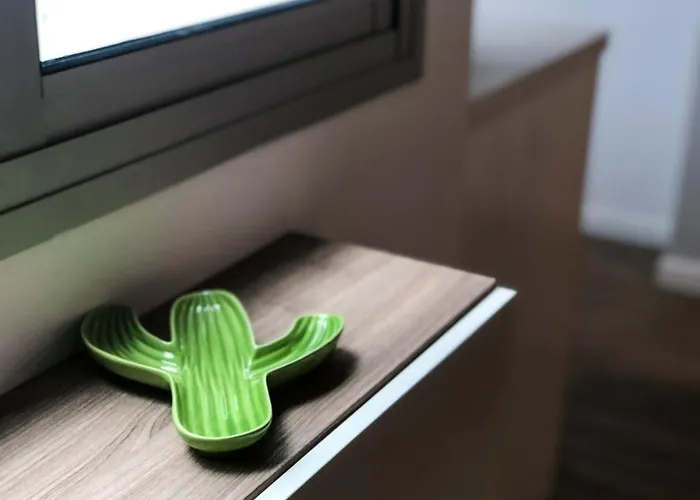 Cactus Las Palmas de Gran Canaria