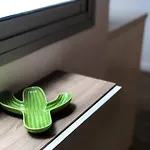 Cactus Лас-Пальмас-де-Гран-Канарія